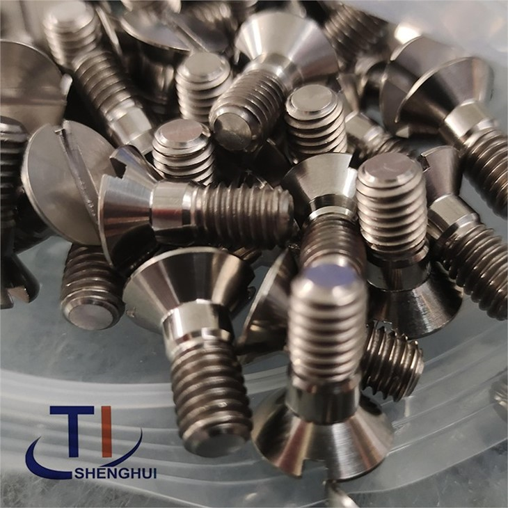 ISO 2009 Titanium Slotted Countersunk Screws