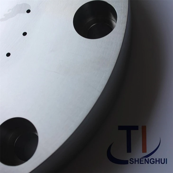 ISO 7005-1 Titanium Custom Flanges