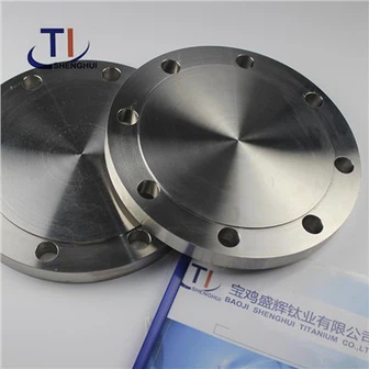 ASMEANSI B16.5 Titanium Blind Flange