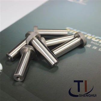 ASTM F1295 Titanium Pin