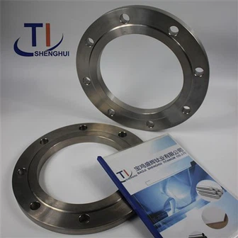 EN 1092-1 Titanium Slip On Flanges